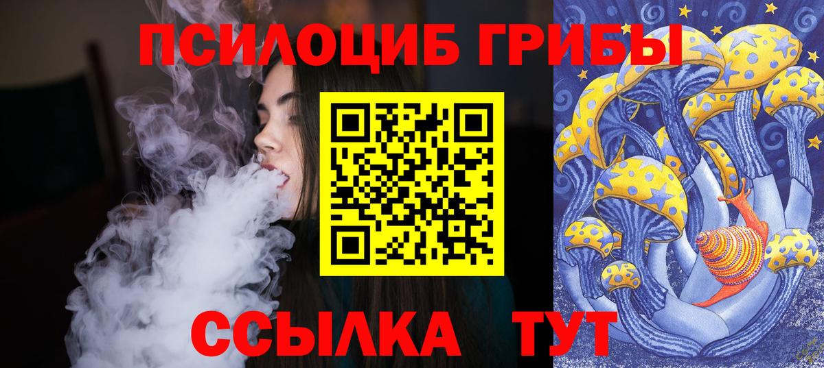 Псилоцибиновые грибы Psilocybe Урус-Мартан